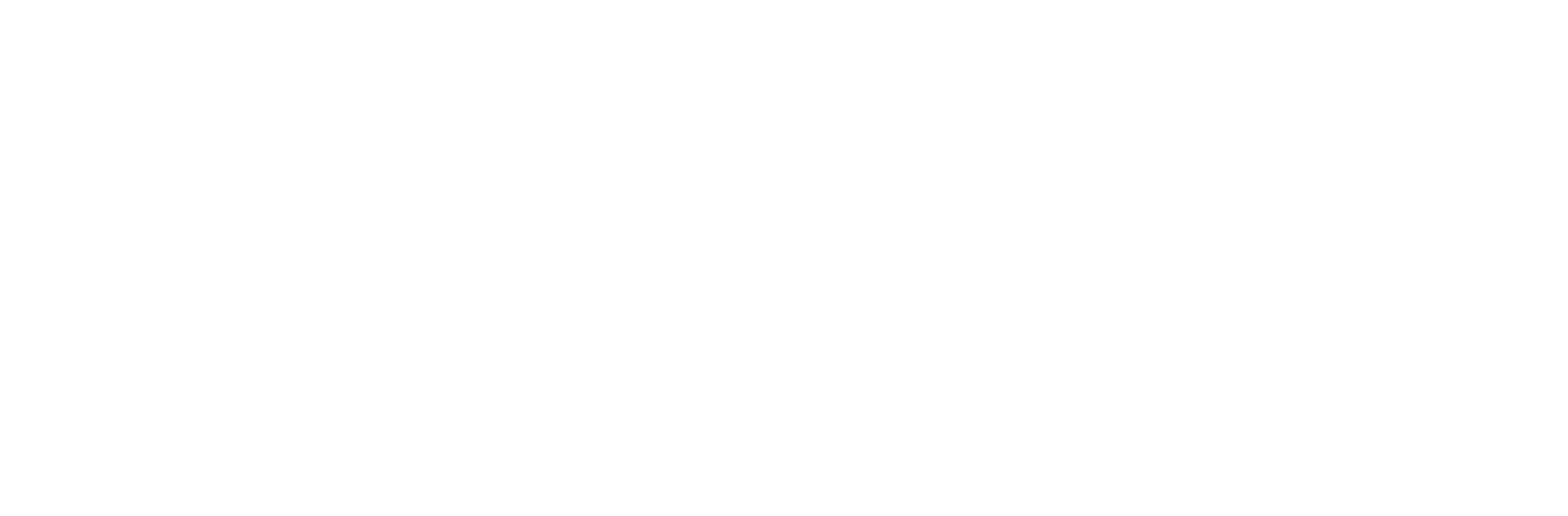 eSkillz logo white